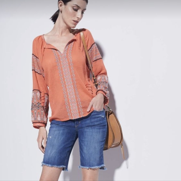 Joie Tops - Joie Nelida Embroidered Gauzey-Cotton Tunic Blouse, Blood Orange - Large